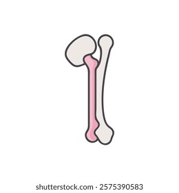 Explanatory Icon of Humerus Anatomy