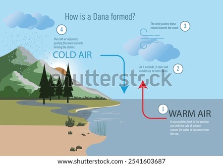 An explanatory infographic on the formation process of a DANA, detailing how cold and warm air currents interact to generate storms.