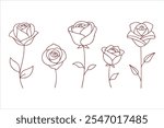 Explore the beauty of simplicity with this rose flower continuous line drawing collection. Perfect for modern designs, wedding decor, floral patterns, and digital artwork.