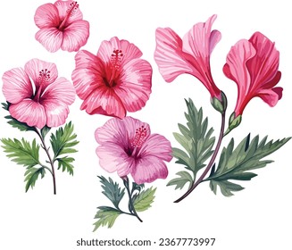 Explore the captivating beauty of this watercolor art collection featuring a set of hibiscus flowers. Each painting bursts with vibrant colors and meticulous details.