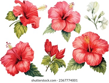 Explore the captivating beauty of this watercolor art collection featuring a set of hibiscus flowers. Each painting bursts with vibrant colors and meticulous details.