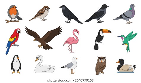 Explore the Colorful World A Variety of Unique Bird Species in Nature
