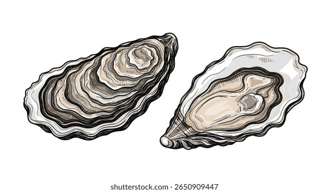 Explore the delicacy of ocean oysters a culinary journey through flavors and textures