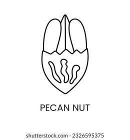 Explore la delicadeza de Pecan, un fascinante ícono vectorial de línea que simboliza el exquisito gusto.