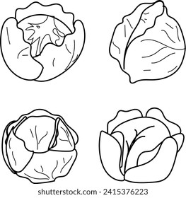 Explore the elegance of this quartet of cabbage in black and white vector lineart. Ideal for culinary designs, this monochrome illustration captures the simplicity and natural beauty of this versatile