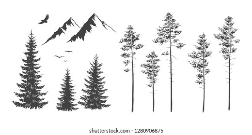 Explore graphic vector illustration of landscape elements, mountains and trees. Travel, outdoor, adventure, nature symbol. Hand drawn engraving style for tattoo, print, poster, sticker, card design.