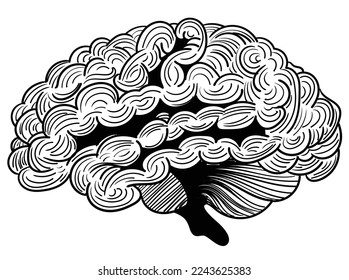 das menschliche Gehirn im Doodle Art Stil. es passt zur Neurologie. menschliche Organgrafik. Intelligenz, Genie, Intelligenz, Geist und Ideensymbol.