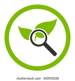 Explore Natural Drugs vector icon. Style is bicolor flat rounded symbol, eco green and gray colors, rounded angles, white background.