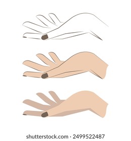 Explore our Beauty Hand Modeling Illustrations, featuring elegant and graceful hand designs perfect for fashion and beauty projects