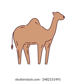 Explore our Camel Icon Illustrations, featuring detailed and stylish camel designs perfect for desert and travel themes.