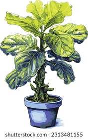 Explore our unique fiddle leaf fig vector art. Perfect for adding a touch of nature to your design tools. Absolutely one-of-a-kind.