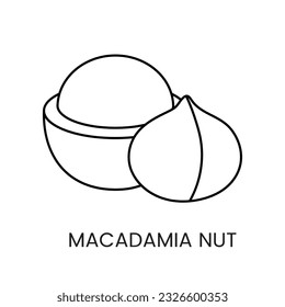 Explore the richness of Macadamia Nut, a captivating line vector icon representing the indulgent, flavorful nature