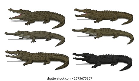 Explore uma impressionante variedade visual de jacarés e crocodilos em ilustrações detalhadas, destacando seu poder e beleza natural para projetos impactantes.