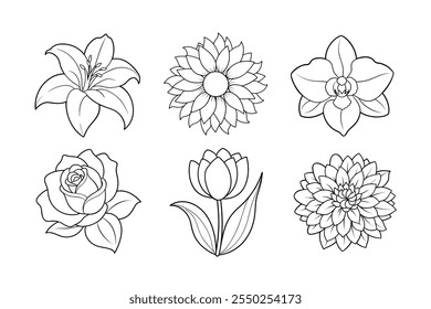 Explore a vibrant collection of Chrysanthemum, Rose, Tulip, Lily, Orchid, and Sunflower images. Perfect for creative projects, available on Shutterstock. Royalty-free and high-quality photos