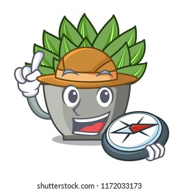 Explorer cartoon echeveria cactus plant at winter