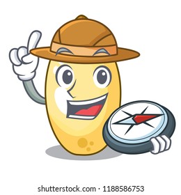 Explorer cedar pine nuts on a cartoon