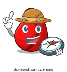 Explorer cola nut fruits isolated on cartoon