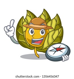 Explorer physalis fruit isolated in the character