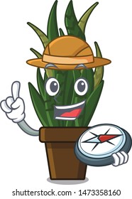 Explorer snake plant with the character shape
