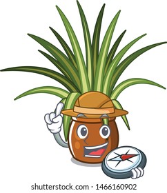 Explorer spider plants in a cartoon pots