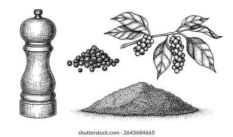 Explorando o Mundo Aromático de Pimenta Negra de Bagas Inteiras a Moagem Fina