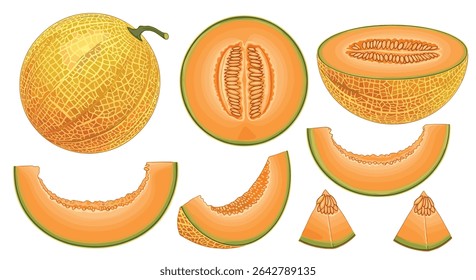 Explorando Cantaloupe Um Guia de Nutrição Sabor e Versátil Aplicações Culinárias Revelado