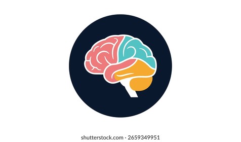 Exploring the complexities of human cognition and brain function understanding the mind's inner workings