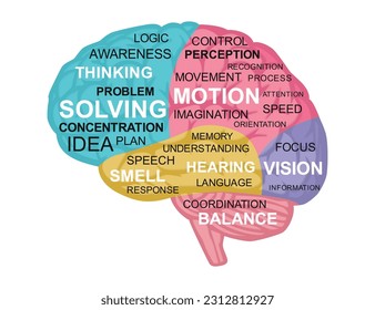 Exploring the complexity of consciousness words cloud, unveiling diverse definitions from prominent figures, parts, and functions of the brain