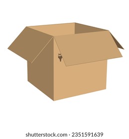 Exploring Contents: Open Cardboard Box