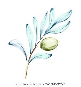 Explorar a elegância das azeitonas e do azeite através de ilustrações em aquarela inspiradas na cozinha italiana