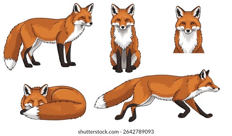 Exploring the Enigmatic World of Foxes Unveiling Their Secrets and Natural Behavior