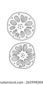 Exploring the intricate cross-sectional patterns of biological structures revealing cellular organization and botanical anatomy for scientific study