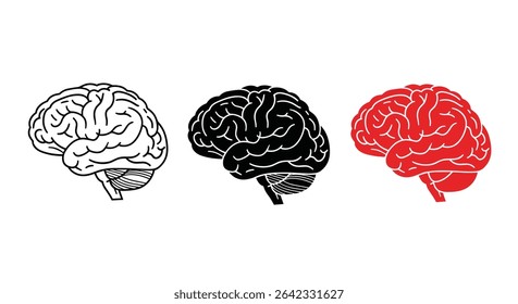Explorando a função multifacetada da estrutura cerebral e os processos cognitivos para compreender o comportamento