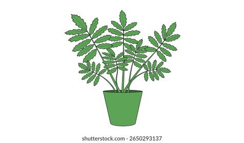 Exploring the Wonders of Houseplants A Guide to Cultivating Indoor Greenery and Decor
