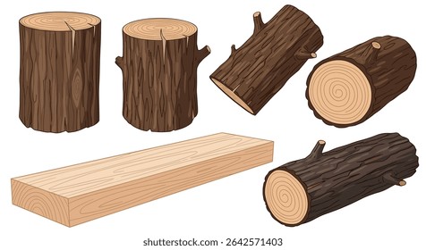 Exploring the World of Wood from Forest to Workshop A Versatile Natural Resource