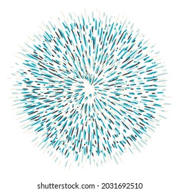 Explosion effect of random radial blue lines on a white background. Floral abstract circular pattern for printing on pillows, T-shirts, covers. Vector.