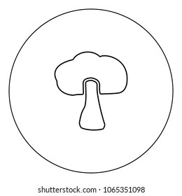 Explosion icon black color in circle vector illustration isolated