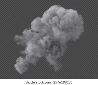 Explosion smoke cloud. Isolated on transparent background
