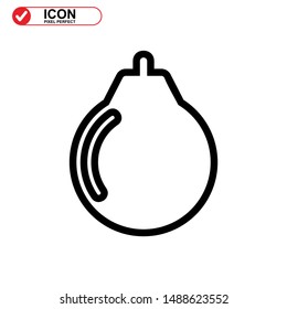 explosive icon isolated sign symbol vector illustration - high quality black style vector icons
