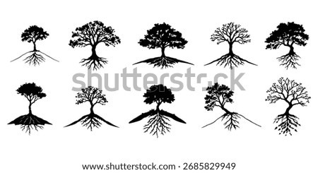 Exposed Root Tree Silhouettes, Unique Vector Set of Trees with Visible Root Systems