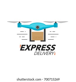 Express delivery icon concept. Drone service, order, worldwide shipping. Modern design vector illustration.