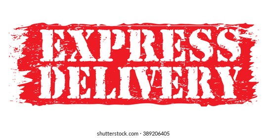 express delivery icon, vector illustration