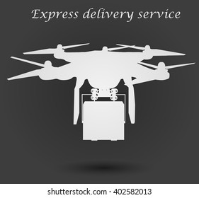Express delivery service