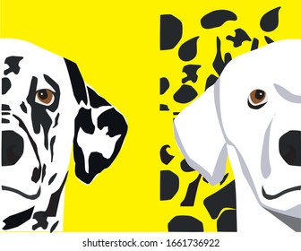 I expressed a Dalmatian dog.