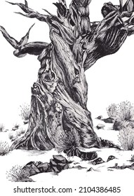 It expresses a big old tree that's drying up.