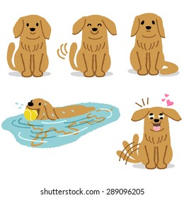 Expression of adorable golden retriever - smiling, wagging, feeling lonely, happily swimming, and exciting to wait something.