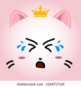 the expression of the cat crying
