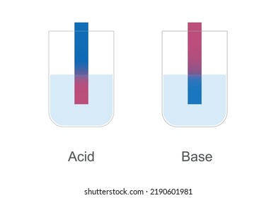The expression is a metaphor based on the litmus test in chemistry, in which one is able to test the general acidity of a substance, but not its exact pH. 