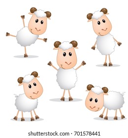 Expression of sheep collection sets