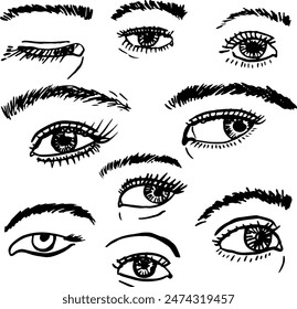 Expressive eyes hand drawing. Eyebrows eyelashes look. Vector illustration.